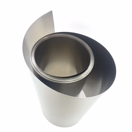 格安価格 Pure Ta1 R050200 タンタル ストリップ